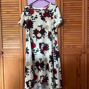 LuLaRoe "Carly" Large Dress